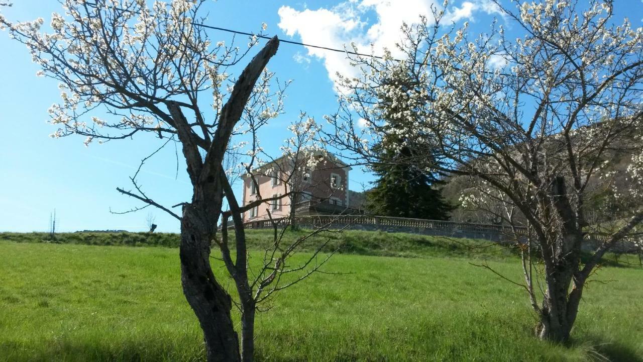 La Villa Du Collet La Penne Eksteriør billede
